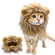 Löwenmähne Für Katzen